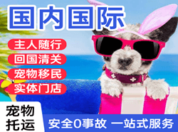 山南隆子机场物流国际宠物托运 【国